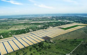 Conheça a história de sucesso do Grupo Buriti